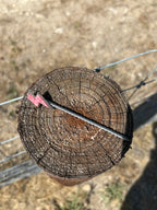Hat Pins