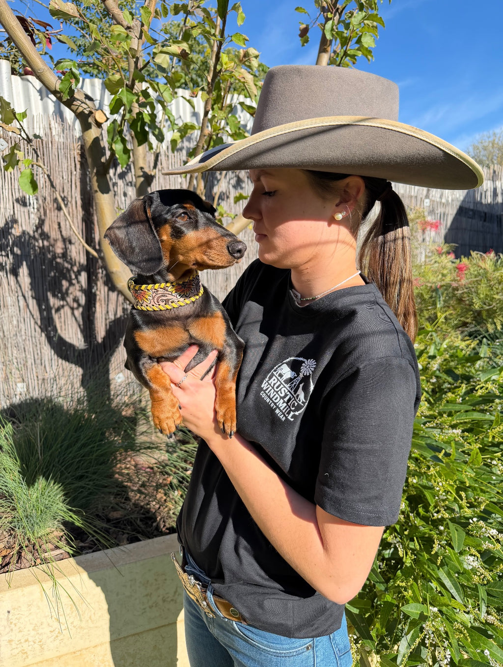Sunflower Trail Dog Collar