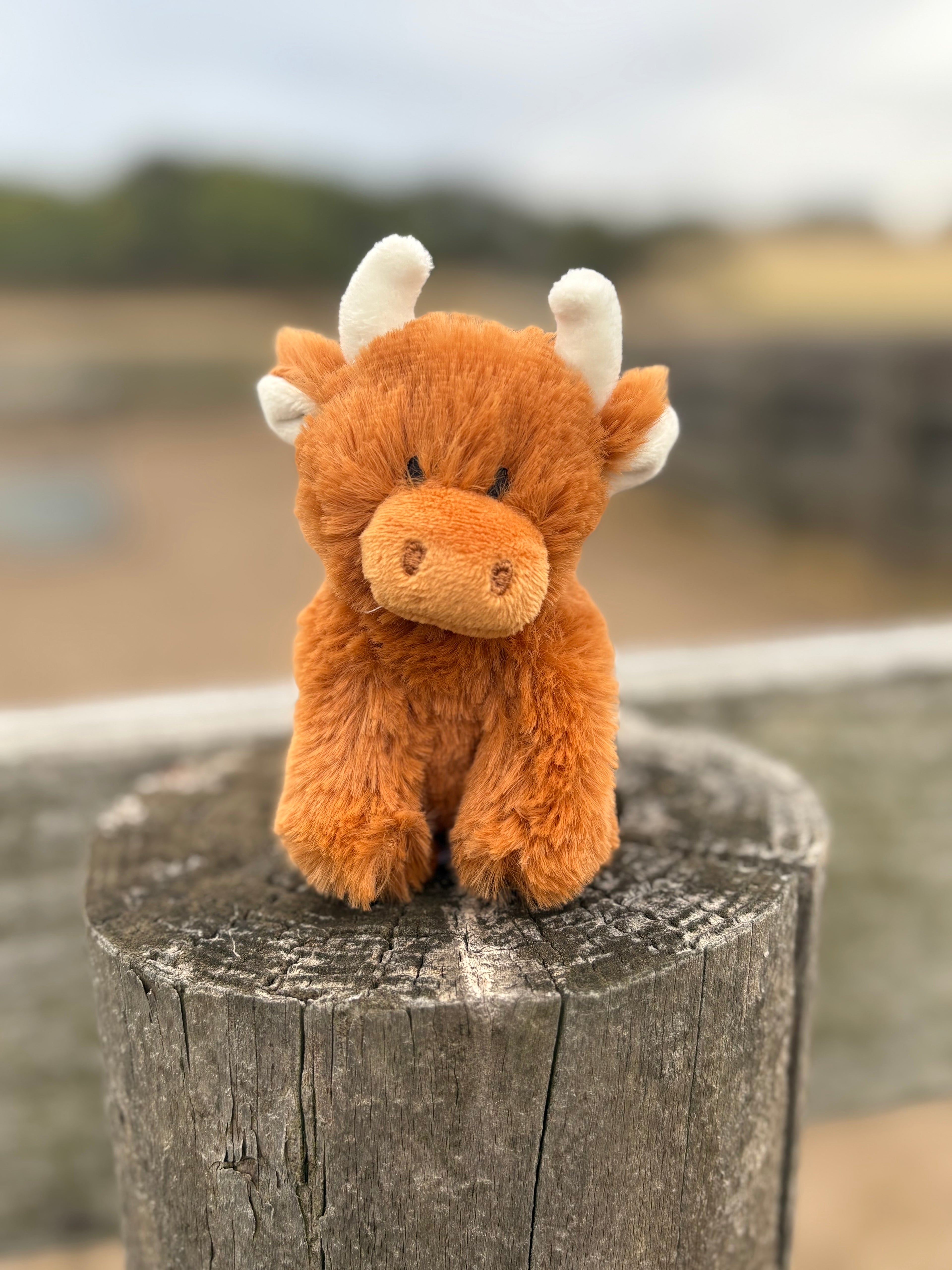 Highland Plushy Toy