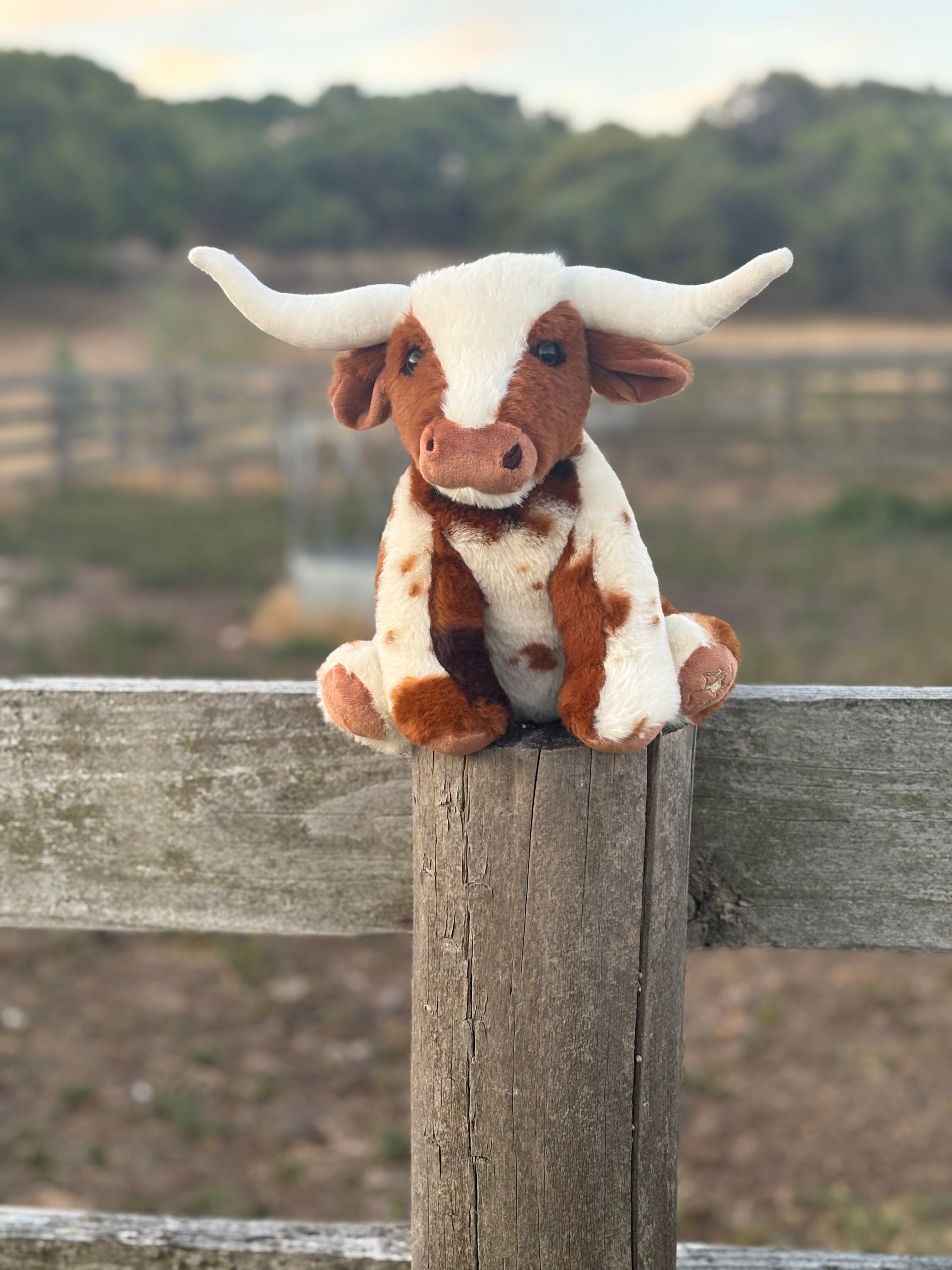 Longhorn Plushy Toy