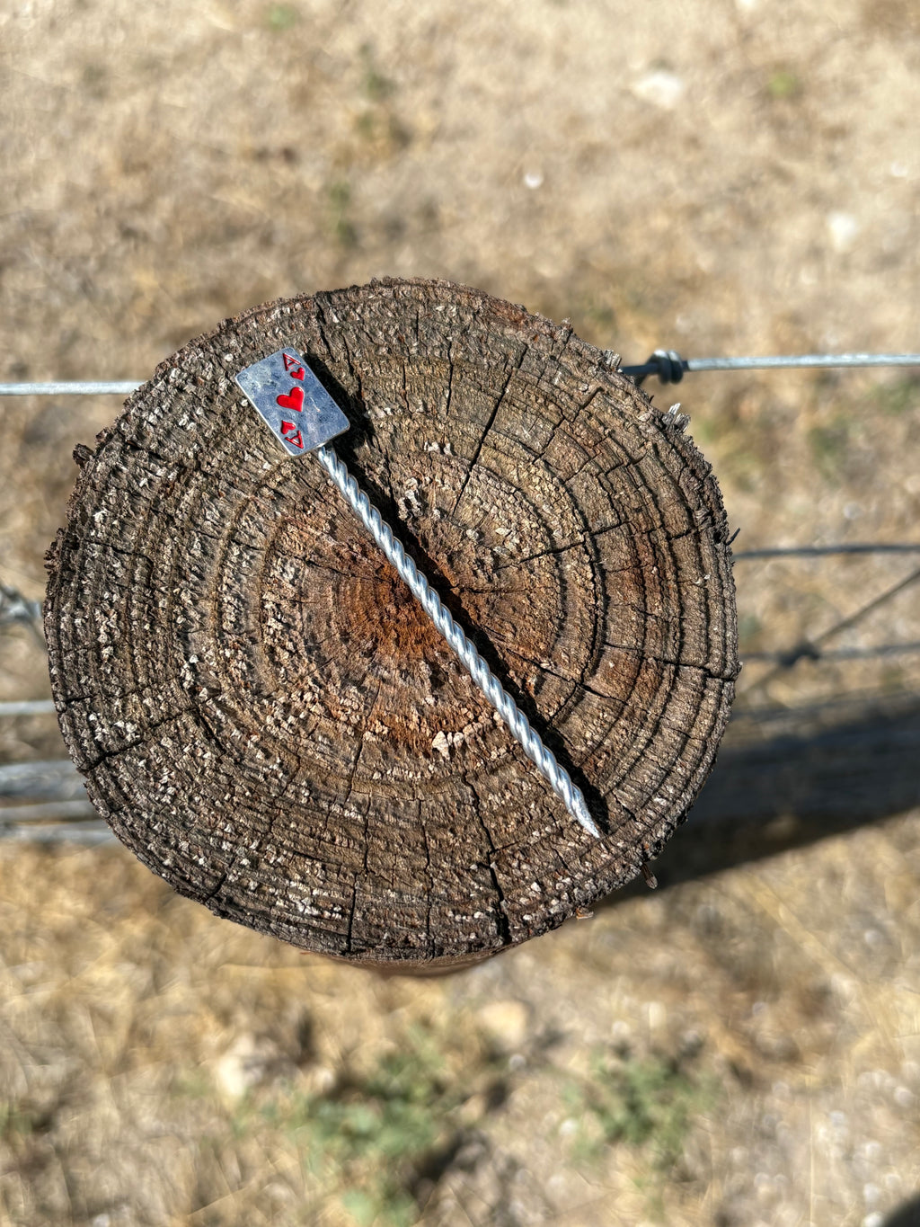Hat Pins