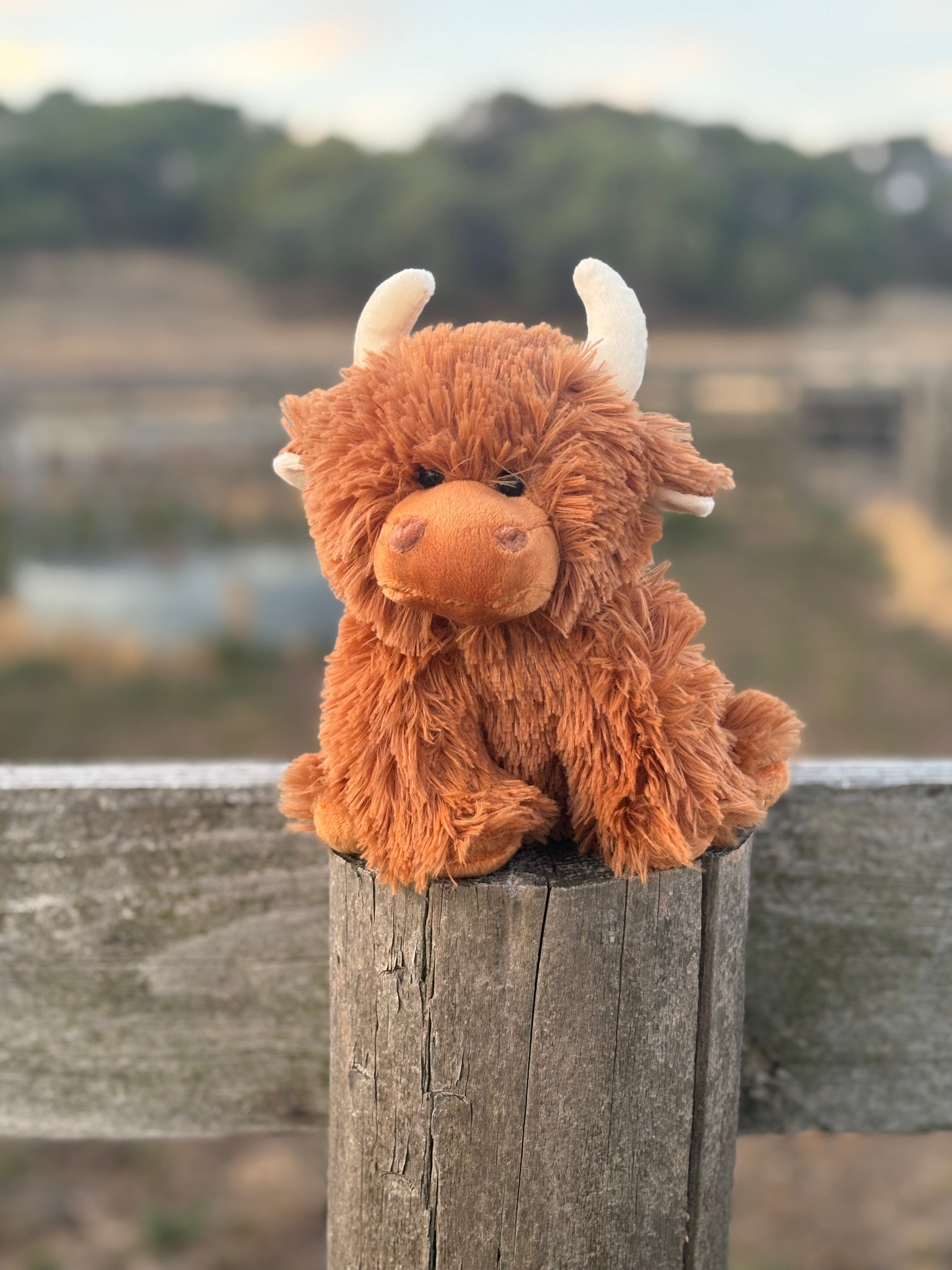 Highland Plushy Toy