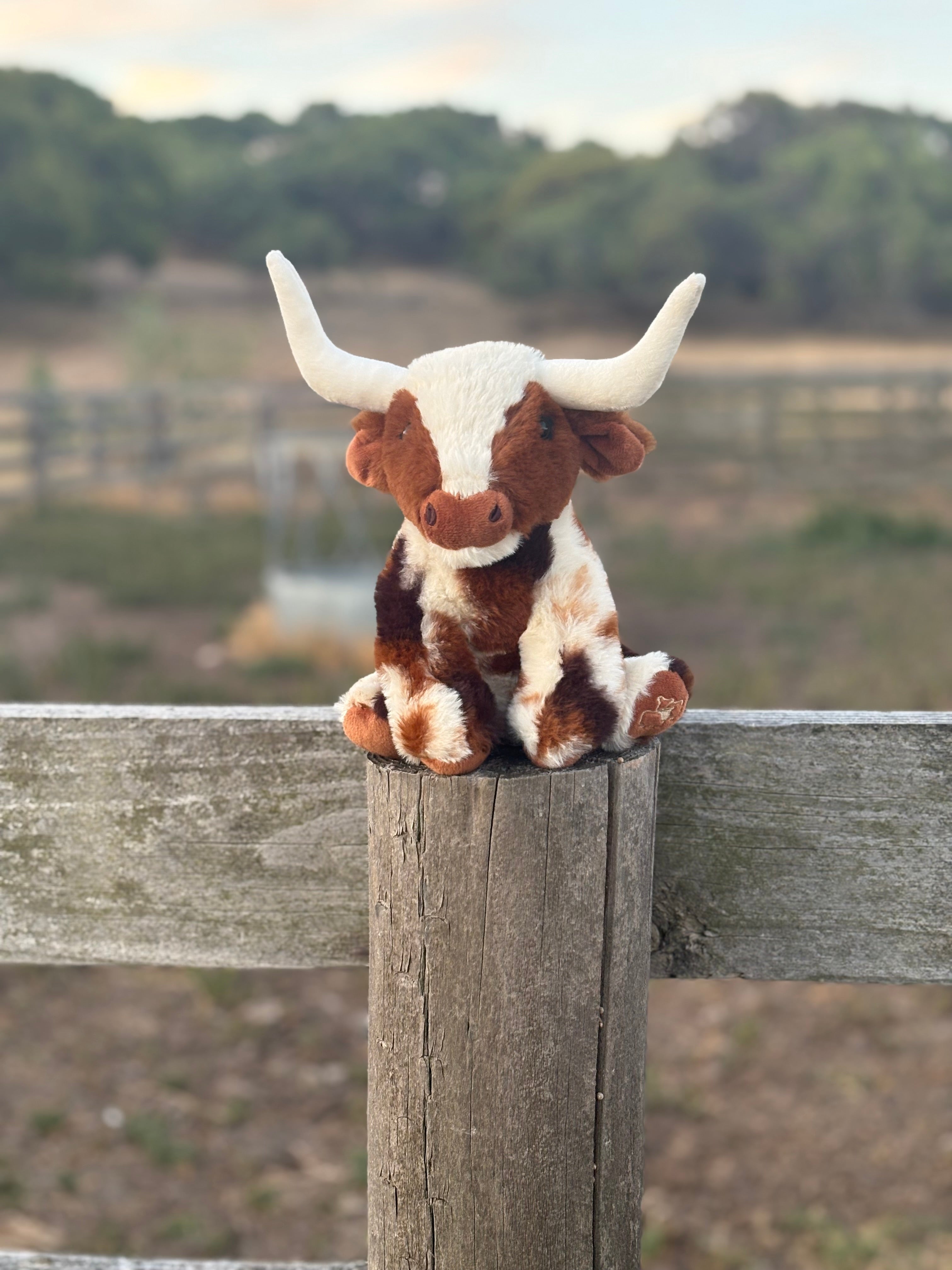 Longhorn Plushy Toy
