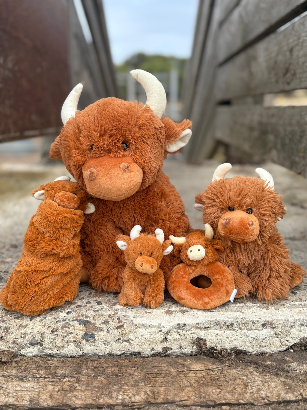 Highland Plushy Toy