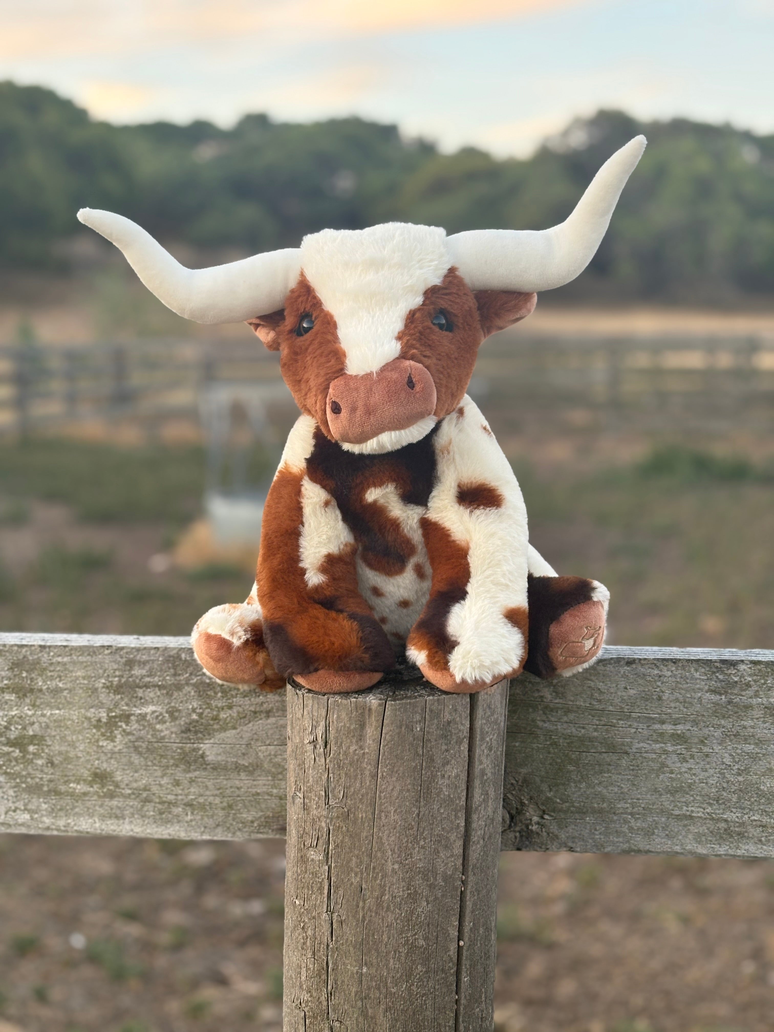 Longhorn Plushy Toy